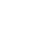 Voley