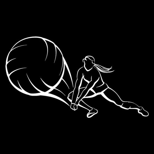 Adesivo Automotivo Recepção