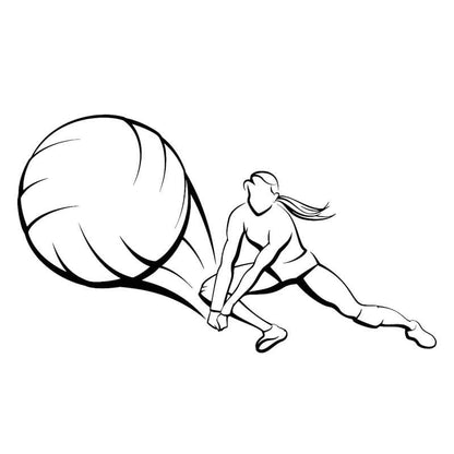 Adesivo Automotivo Recepção